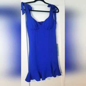 NWT Blue Dress